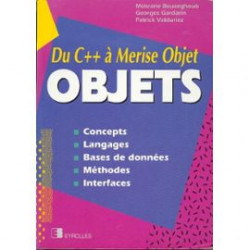 Du C++ à Merise Objet :Concepts Langages Bases De Données...