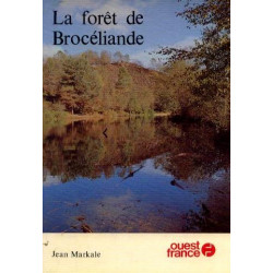 La forêt de Brocéliande