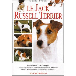 Le Jack Russel Terrier