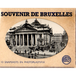 Souvenir de Bruxelles - 10 snapshots en photoplastifix