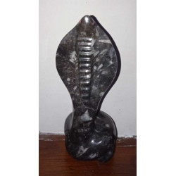 Superbe sculpture cobra orthoceras fossile marbre noir